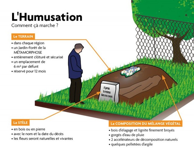 etape-humusation-1